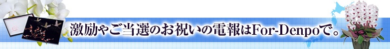 第50回衆院選